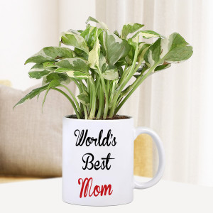 Personalized Mug with money plant